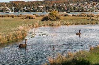 Panorama Hotel St Helens - 3