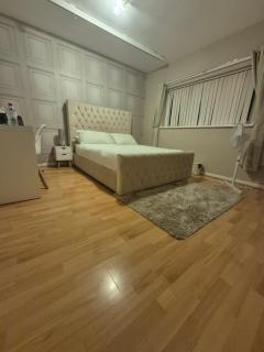 Quiet and professional friendly - 1