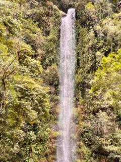 Sítio três cascatas - 9