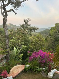 Luxury Penthouse suite in Altos del Maria - 5