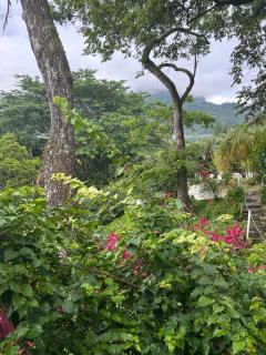 Luxury Penthouse suite in Altos del Maria - 9