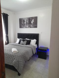 Del's Homes -Ruiru - 1