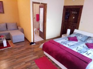 Comfort Double Room with Terrace and Kitchenette - 1