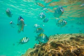 Cond Palm Village 107-04 em Muro Alto - 2