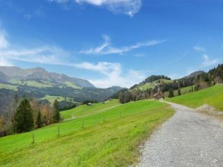 Dog-friendly holiday apartment in Bregenzerwald - 4