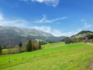 Dog-friendly holiday apartment in Bregenzerwald - 8