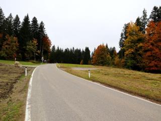 Dog-friendly holiday apartment in Bregenzerwald - 2