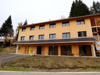 Dog-friendly holiday apartment in Bregenzerwald - 5