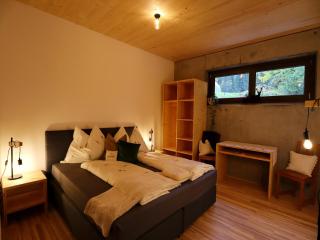 Dog-friendly holiday apartment in Bregenzerwald - 8