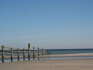 Baltic Sea House Seagrass Fireplace - 5