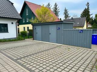 Dandelion - House Summer Meadow - 9