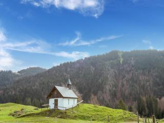 Dog-friendly holiday apartment in Bregenzerwald - 9