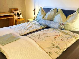 Dog-friendly holiday apartment in Bregenzerwald - 1