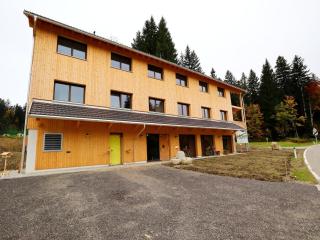 Dog-friendly holiday apartment in Bregenzerwald - 0