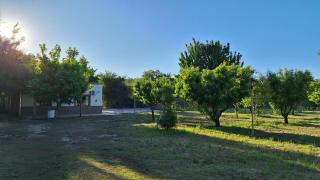 Napoles complejo - 7