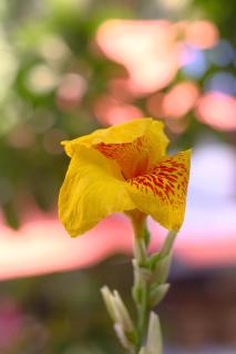 The Hideout Koh Rong - 4