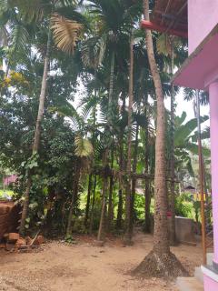 Chaitanya faram house - 5