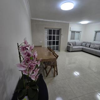 Luxury Villa in Kiryat Ata Near Haifa - 3