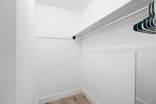 Modern Pool Home Busch Gardens by Tampa Bay Bucs Stadium - 4