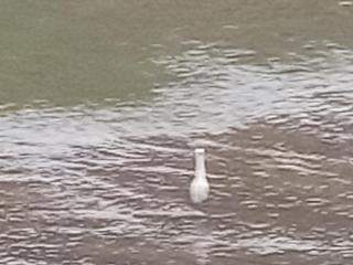 Eco Bless Inn Kandy - 8