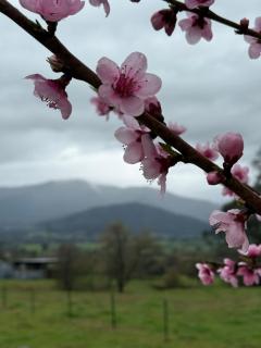 High Country Lodge - 8