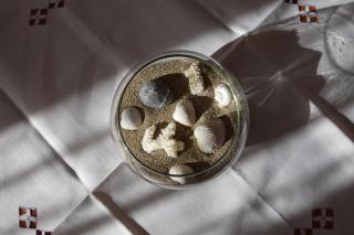 SalentodaRosy AP1 - 5