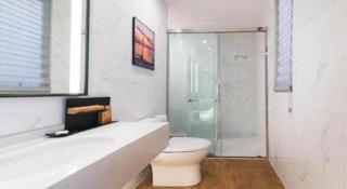 Borrman Hotel Xinxiang Muye Avenue - 4