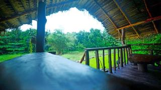 Aliya Safari Treehouse - 1