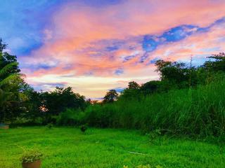 Aliya Safari Treehouse - 2