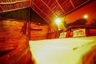 Aliya Safari Treehouse - 4