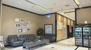 Xana Lite Shangqiu Sui County Dennis - 7