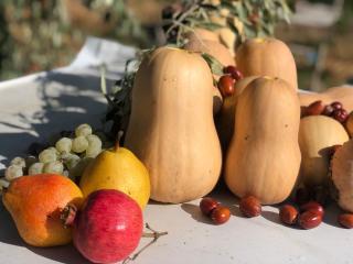 Veni Vedi - Vedi - 6