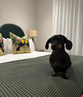 Stunning Home in Hermanus Town Centre - 4