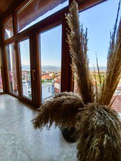 MEK HOMES historical greek house city and sea view - 3