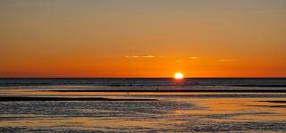 Soggy Bottom Farm House, Sea views and peacocks - 7