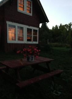 Delightful Guest House Cabin in the Adirondacks - 3