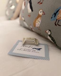 Stunning Home in Hermanus Town Centre - 1