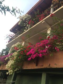 Homely Hills Guesthouse Kandy - 0