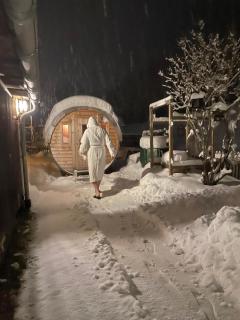 Haus Berta, Montafon - 5