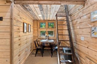 Treehouse - Amazonia - Red River Gorge KY - 2