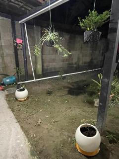 Two Beds San Francisco Chinameca - 8