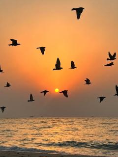 Salmiya Villa in salem almubarak street - 7