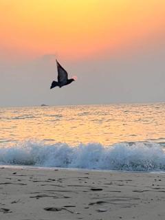 Salmiya Villa in salem almubarak street - 4