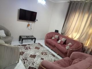 شقة مفروشه في مدينة نصر - 1