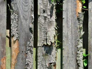 Apartment in the Hochsauerland region in a quiet location - 8