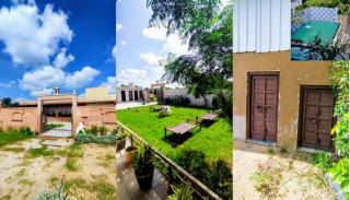 LKC FARM's KHINVSAR - 0