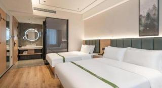 GreenTree Inn Bengbu Huaihe Walking Street - 2