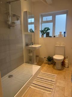 Spacious Flat in Parsons Green - 7