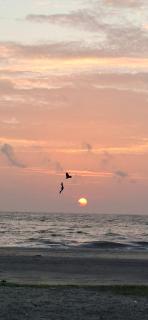 Paradise beach homestay - Alappuzha - 8