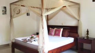 La Fontaine de Tara - 2